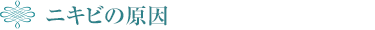 ニキビの原因